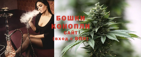 PSILOCYBIN Карталы