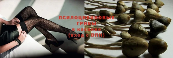 PSILOCYBIN Карталы