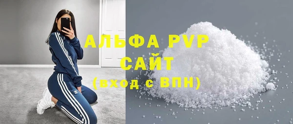 PSILOCYBIN Карталы