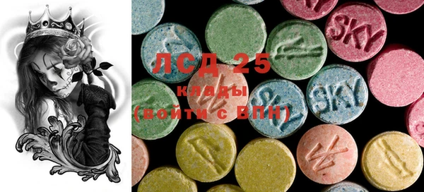 PSILOCYBIN Карталы
