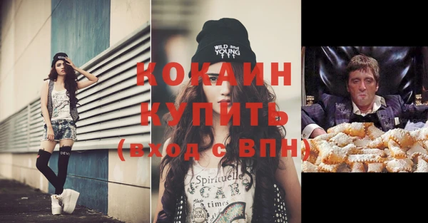 PSILOCYBIN Карталы